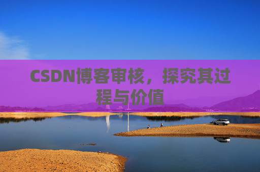 CSDN博客审核，探究其过程与价值