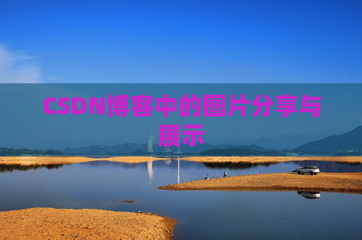 CSDN博客中的图片分享与展示